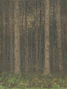 Forest Interior
